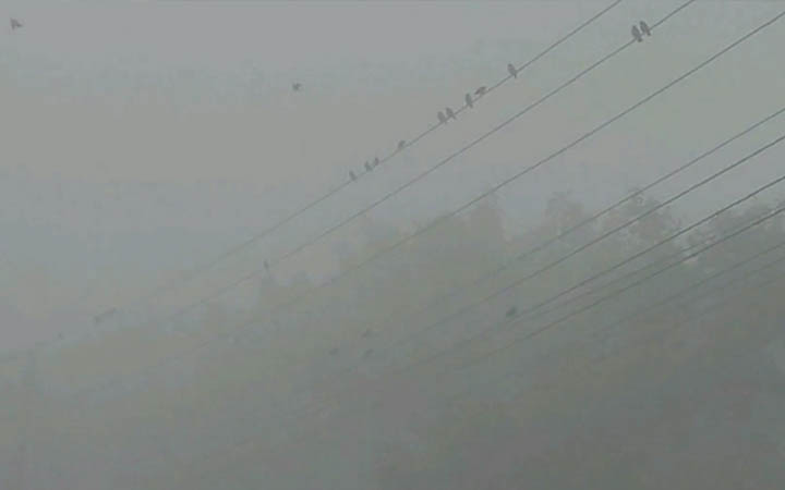 কনকনে ঠান্ডা, হিমেল বাতাস আর ঘন কুয়াশায় বিপাকে ঠাকুরগাঁওবাসী