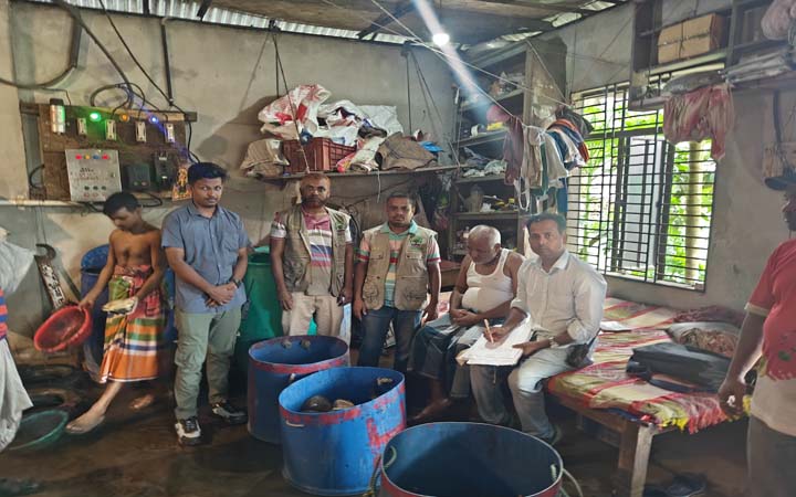 ভারতে পাচারের জন্য রাখা হয় ৭৩ কচ্ছপ, হঠাৎ বন বিভাগের হানা