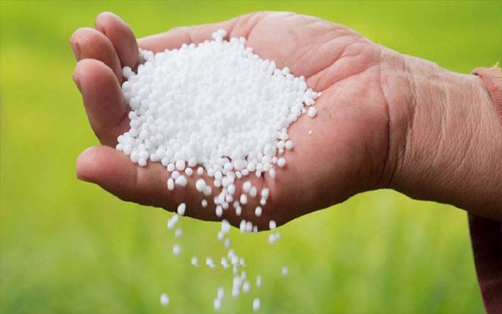 কেজিতে ৫ টাকা বাড়ল সারের দাম