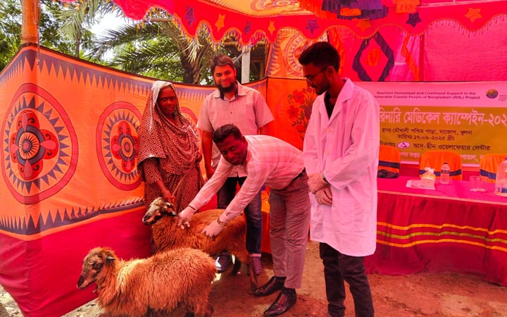 আদ-দ্বীনের উদ্যোগে বিনামূল্যে ছাগল-ভেড়া ভ্যাক্সিনেশন ক্যাম্প