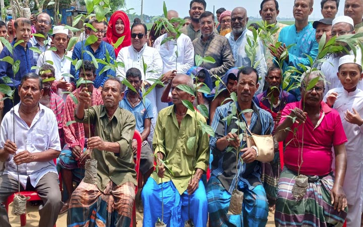 ব্রাহ্মণবাড়িয়ায় আওয়ামী লীগের বৃক্ষরোপণ