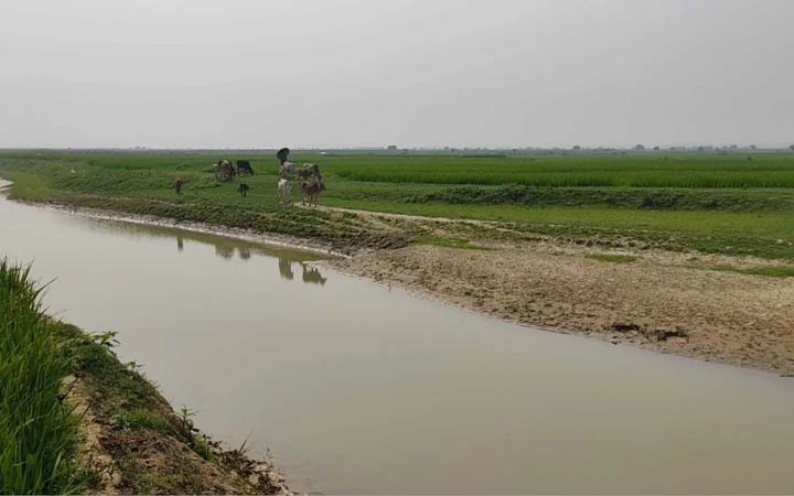 নদীপথে ১৫ জনের পুশইন ঠেকালো বিজিবি