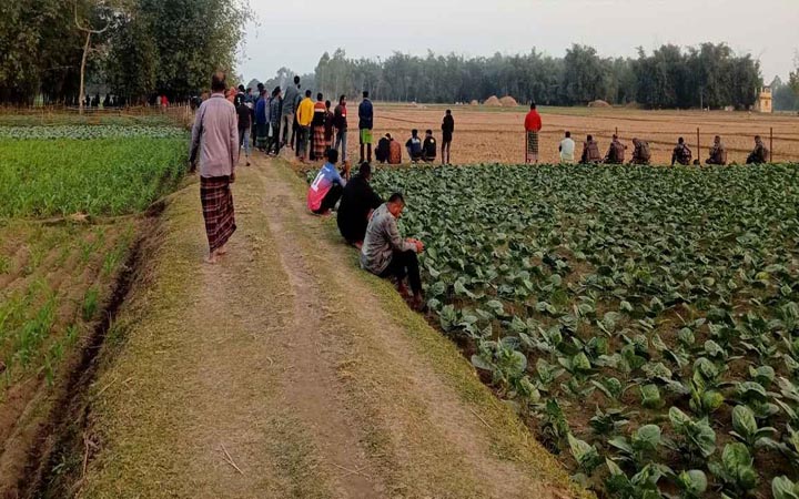 লালমনিরহাট সীমান্তে বিএসএফ’র কাঁটাতারের বেড়া নির্মাণচেষ্টা