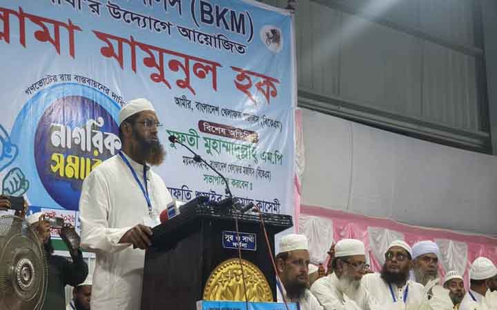 গণভোটের রায় বাস্তবায়ন ছাড়া সংসদ চলতে পারে না: মামুনুল হক