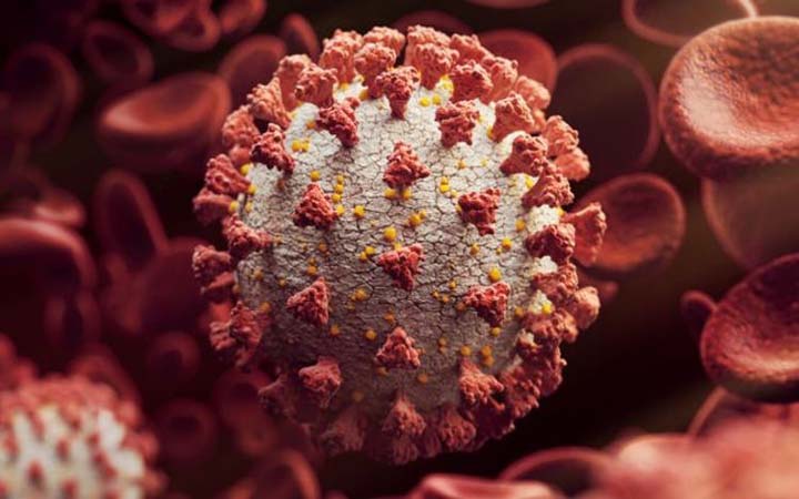 দেশে ৩৫ জনের করোনা শনাক্ত