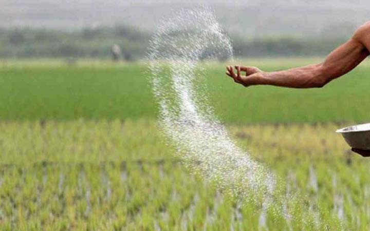 কেজিতে ৬ টাকা বাড়ল ইউরিয়া সারের দাম