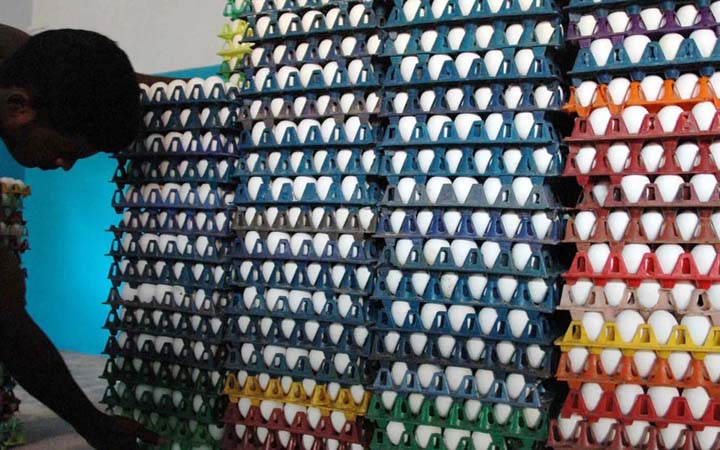 বাড্ডায় ডিমের আড়তে অভিযান