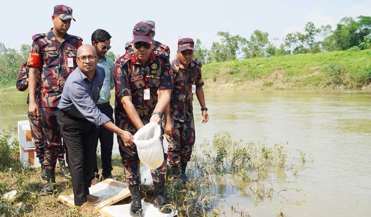 হবিগঞ্জে ২ কোটি টাকার গলদা চিংড়ির রেণু জব্দ
