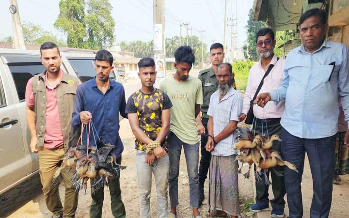 হবিগঞ্জে ২৩ পাখি জব্দ, ৩ শিকারিকে জরিমানা