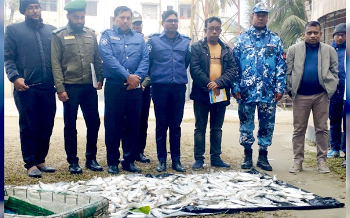 চাঁদপুরে জব্দ জাটকা গেল এতিমখানায়