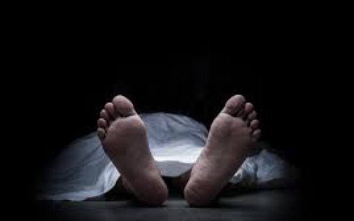 বড় ভাইয়ের হাতে ছোট ভাই খুন