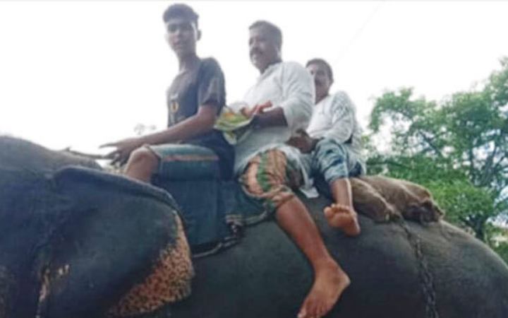 যশোরে নাতিকে হাতির পিঠে চড়িয়ে বাড়ি নিয়ে গেলেন দাদা