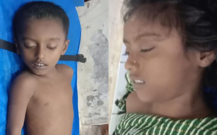 পটুয়াখালীতে পুকুরে ডুবে আপন দুই ভাই বোনের মৃত্যু