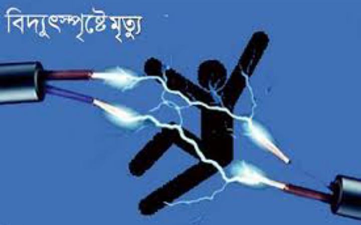 ফরিদপুরে বিদ্যুৎস্পৃষ্টে প্রাণ গেল ভ্যানচালকের