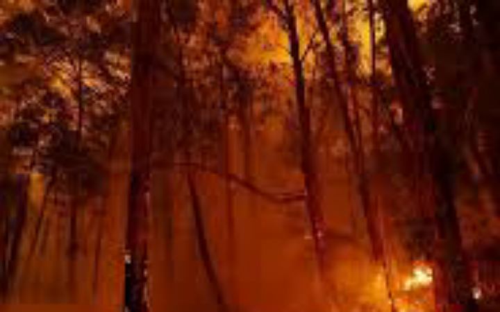 ভয়াবহ দাবানল শুরু হয়েছে অস্ট্রেলিয়ায়