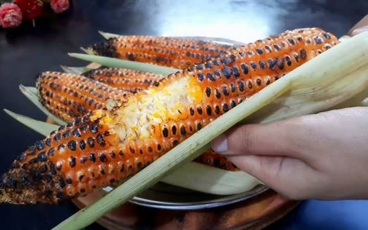 জেনে নিন ভুট্টার পুষ্টিগুণ
