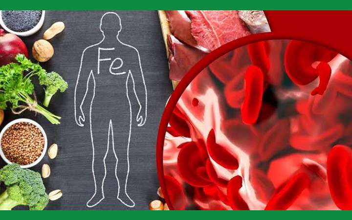 রক্তে হিমোগ্লোবিন এর ঘাটতি হয় যে কারণে