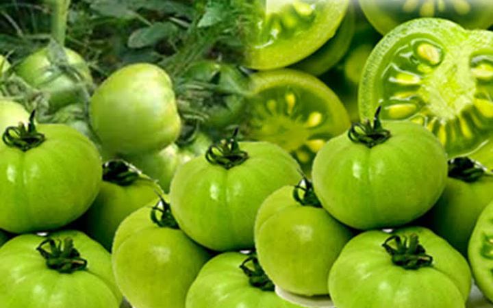 জেনে নিন কাচাঁ টমেটো খাওয়ার উপকারিতা