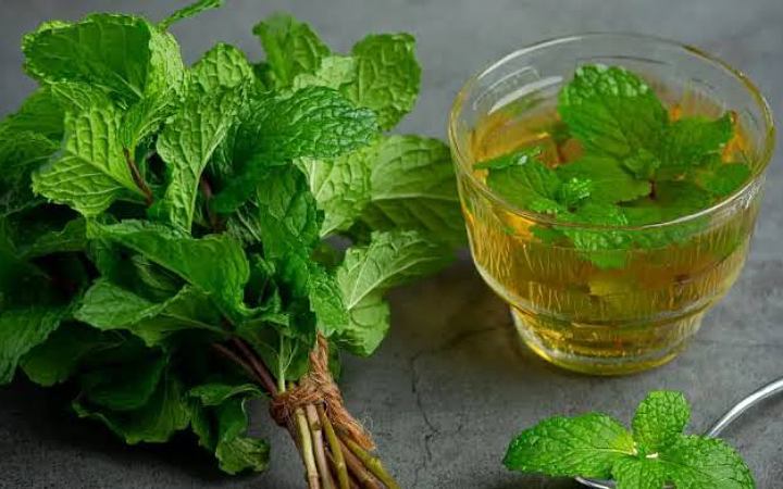 যে সকল রোগ সারাতে সাহায্য করে তুলসীর রস