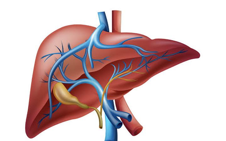 যে সকল পাতা লিভার ভালো রাখে