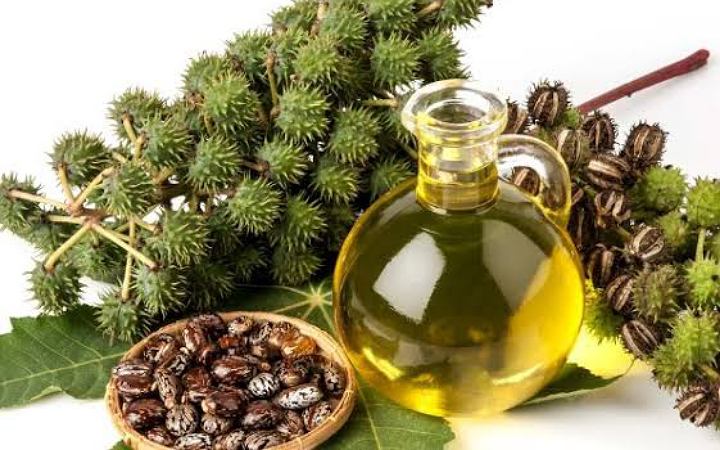 জেনে নিন ক্যাস্টর অয়েলের গুণাগুণ