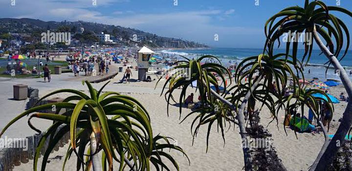 ক্যালিফোর্নিয়া কিনে নিতে ডেনমার্কের পক্ষে অনলাইনে আবেদন!