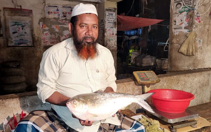 বিষখালী নদীতে জেলের জালে ধরা পড়লো আড়াই কেজি ওজনের ইলিশ