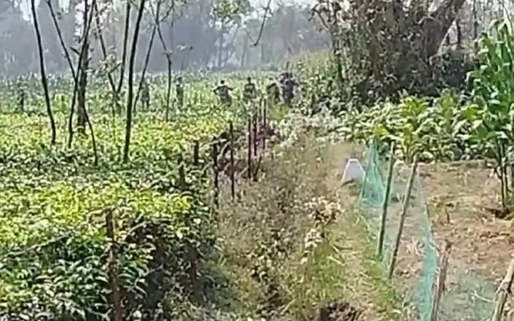 লালমনিরহাট সীমান্তে বিজিবির বাধায় ফিরে গেল বিএসএফ