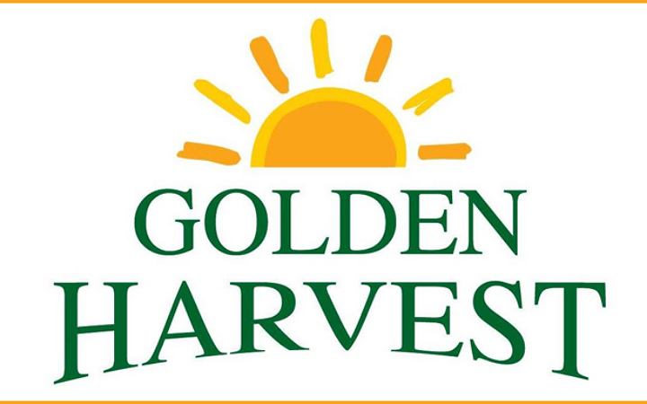 ম্যানেজার নিয়োগ দেবে গোল্ডেন হারভেস্ট