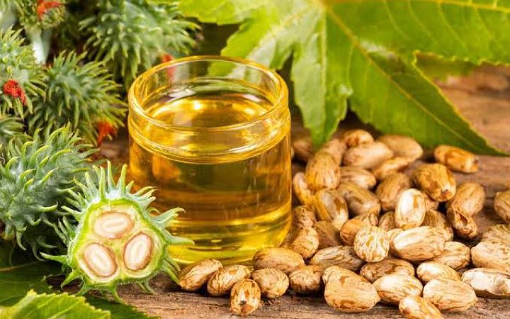 জেনে নিন ক্যাস্টর অয়েলের উপকারিতা