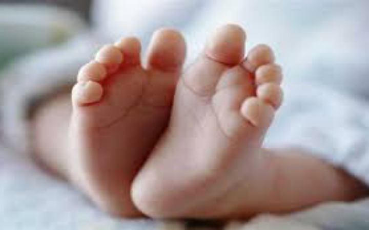 ময়মনসিংহে ভুট্রাক্ষেত থেকে নবজাতকের মরাদেহ উদ্ধার