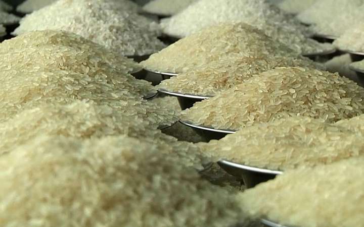 ভিয়েতনাম থেকে এলো আরও ১২ হাজার ৭০০ টন চাল