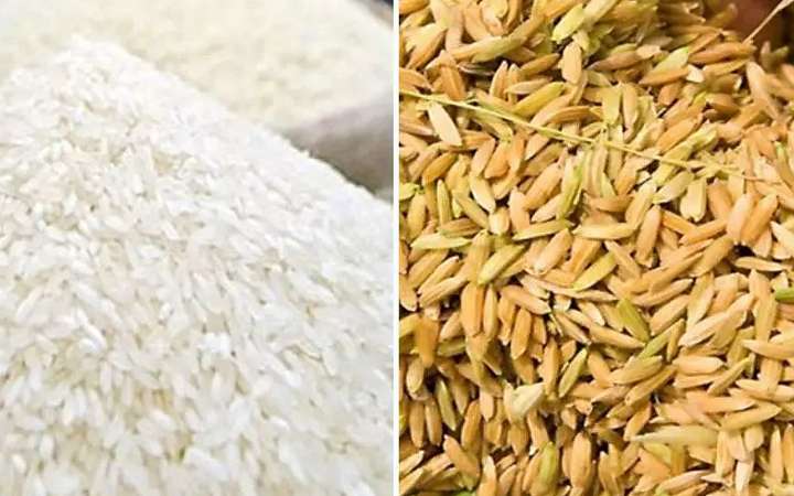 বোরো মৌসুমে ৪৯ টাকায় চাল, ৩৬ টাকা দরে ধান কিনবে সরকার
