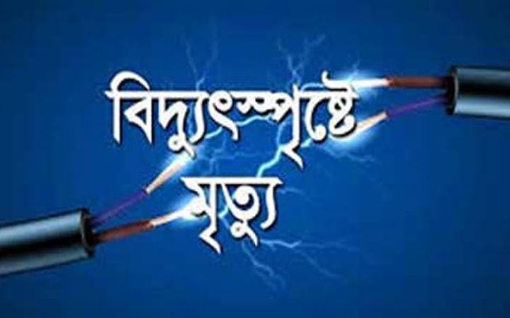 বিদ্যুৎস্পৃষ্টে ২ জনের মৃত্যু