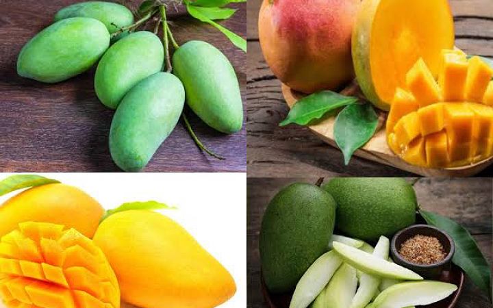জেনে নিন কাঁচা ও পাকা আম খাওয়ার স্বাস্থ্য উপকারিতা