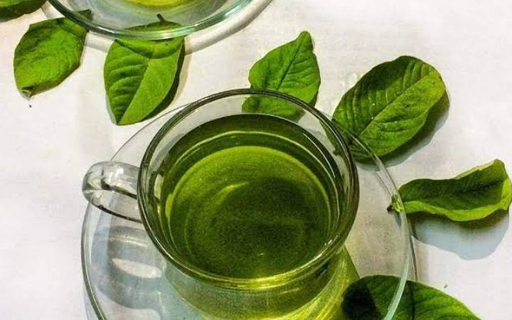 জেনে নিন পেয়ারা পাতার চায়ের উপকারিতা