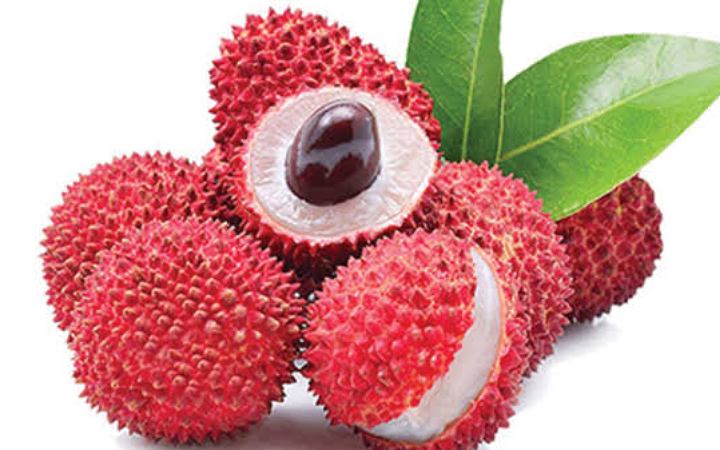 রামগতিতে গলায় লিচুর বিচি আটকে শিশুর মৃত্যু