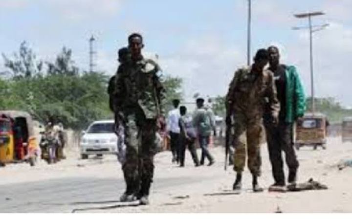 সোমালিয়ায় আত্মঘাতী বোমা হামলায় নিহত ১৩