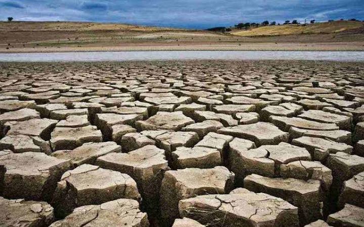 ভয়াবহ খরার কবলে যুক্তরাজ্য, বৃষ্টির জন্য প্রার্থনা