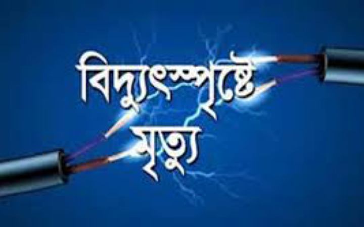 লালমনিরহাটে বিদ্যুৎস্পৃষ্ট হয়ে কৃষকের মৃত্যু