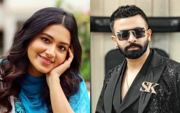 শাকিব খানের সঙ্গে কাজ করার সুযোগ চাইলেন ফারিন