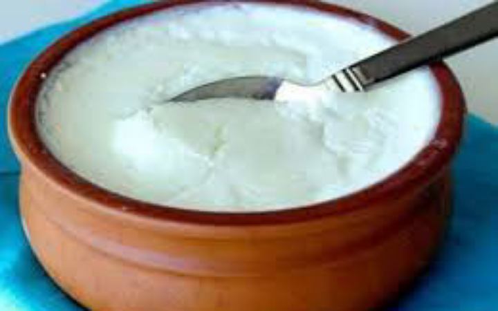 জেনে নিন খাওয়ার আগে দই খাওয়া কি ভালো?