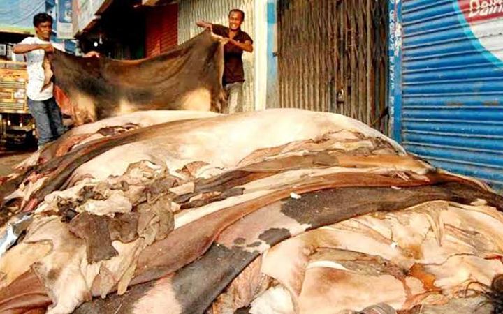 মাসয়ালা কোরবানির চামড়ার টাকা কি মসজিদে দান করা যাবে?