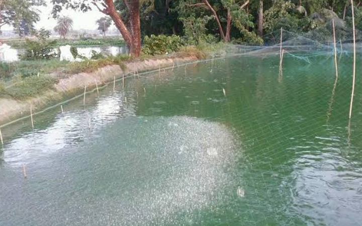 শ্রীবরদীতে নিখোঁজের ২০ ঘণ্টা পর দুই শিশুর মরদেহ উদ্ধার