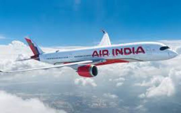 এয়ার ইন্ডিয়ার লাইসেন্স বাতিলের হুমকি ভারতের নিয়ন্ত্রক সংস্থার