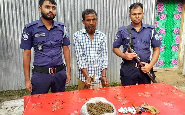 গোবিন্দগঞ্জে ৫০০ গ্রাম গাঁজাসহ কারবারি গ্রেপ্তার