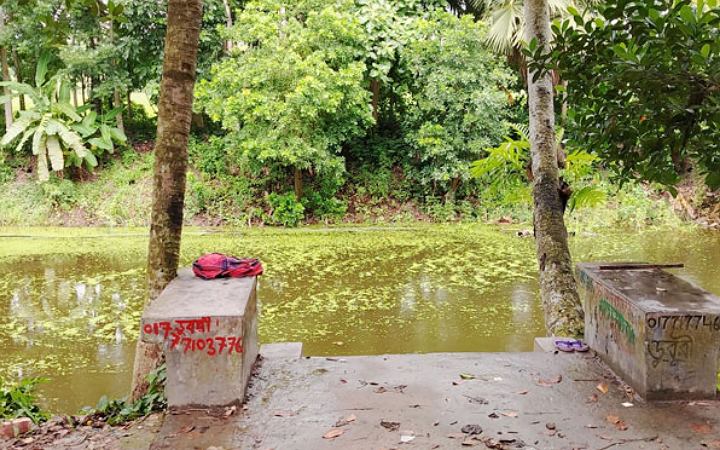 মাদারীপুরে পুকুর থেকে কিশোরীর মরদেহ উদ্ধার