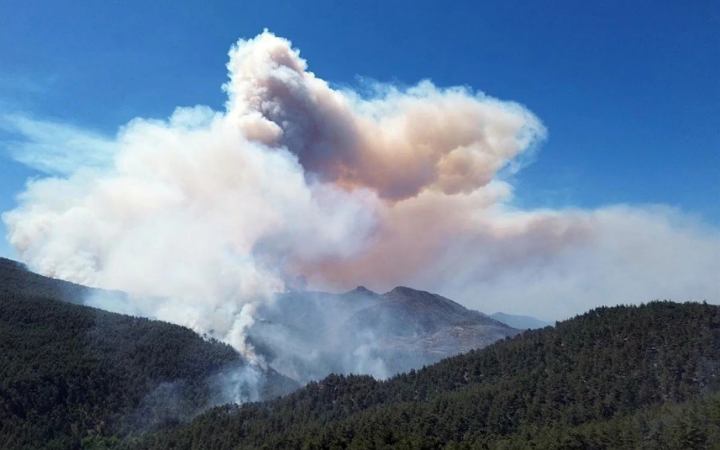 ভয়াবহ দাবানলে পুড়ছে তুরস্কের পশ্চিমাঞ্চল