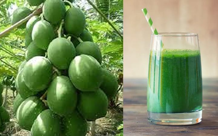 রেসিপি : কাঁচা পেপের জুস খাওয়ার উপকারিতা
