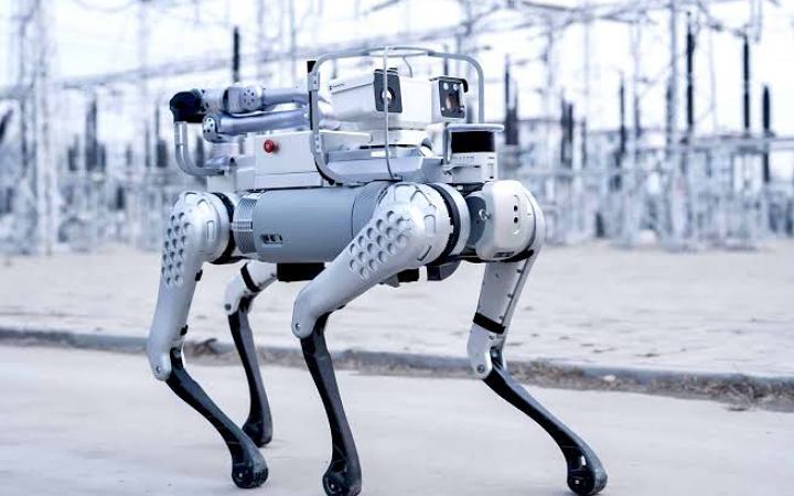 চীনের তৈরি রোবট কুকুর দৌড়াল উসাইন বোল্টের গতিতে!